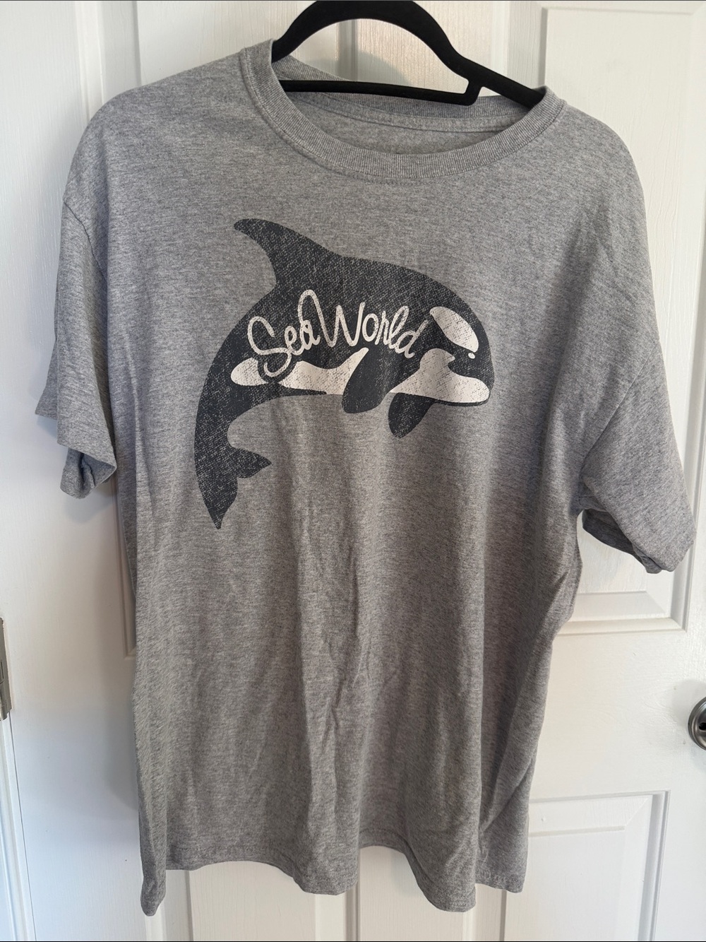 SeaWorld Men's Short Sleeve Graphic Tee - Gray